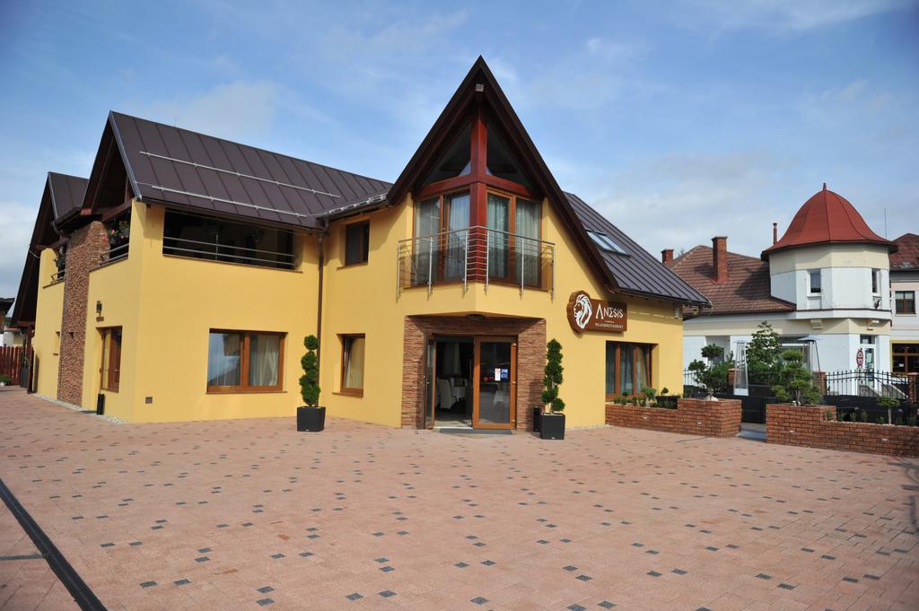 Penzion Anesis - Studia Turčianske Teplice エクステリア 写真